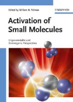 Activation of Small Molecules - Organometallic and  Bioinorganic Perspectives