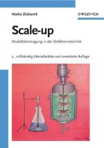 Scale-up - Modellubertragung in der Verfahrenstechnik 2e