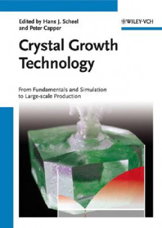 Crystal Growth Technology - From Fundamentals and Simulation to Large-scale Production