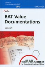 BAT Value Documentations
