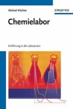 Chemielabor - Einfuhrend in die Laborpraxis