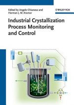 Industrial Crystallization Processes Monitoring and Control