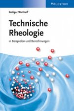 Technische Rheologie - in Beispielen und Berechnungen