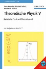Statistische Physik und Thermodynamik, m. CD-ROM
