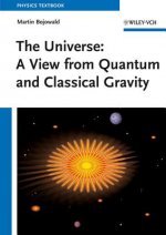 Universe - A View from Classical and Quantum Gravity