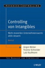 Controlling von Intangibles - Nicht-monetare Unternehmenswerte aktiv steuern