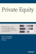 Private Equity - Beurteilungs- und Bewertungsverfahren