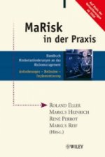 MaRisk in der Praxis, m. CD-ROM