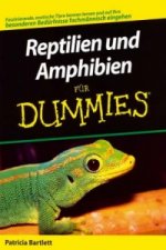 Reptilien und Amphibien Fur Dummies