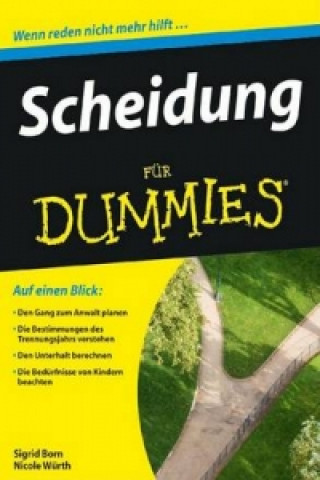 Scheidung fur Dummies