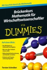 Bruckenkurs Mathematik fur Wirtschaftswissenschaftler fur Dummies