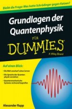 Grundlagen der Quantenphysik fur Dummies