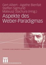 Aspekte Des Weber-Paradigmas