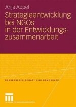Strategieentwicklung Bei Ngos in Der Entwicklungszusammenarbeit