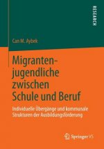 Migrantenjugendliche Zwischen Schule Und Beruf