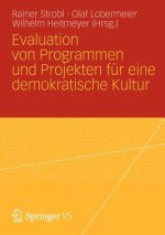 Evaluation Von Programmen Und Projekten F r Eine Demokratische Kultur
