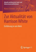 Zur Aktualitat Von Harrison White
