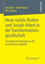 Neue Soziale Risiken Und Soziale Arbeit in Der Transformationsgesellschaft