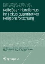 Religioeser Pluralismus Im Fokus Quantitativer Religionsforschung