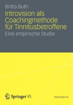 Introvision als Coachingmethode fur Tinnitusbetroffene