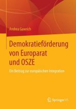 Demokratiefoerderung von Europarat und OSZE