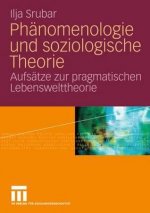 Ph nomenologie Und Soziologische Theorie
