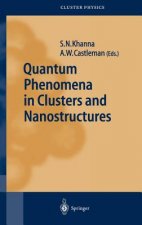 Quantum Phenomena in Clusters and Nanostructures