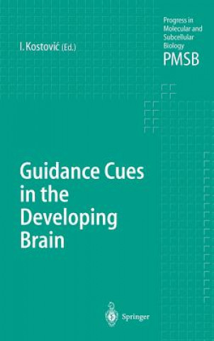 Guidance Cues in the Developing Brain
