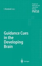 Guidance Cues in the Developing Brain