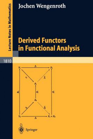 Derived Functors in Functional Analysis