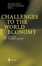 Challenges to the World Economy