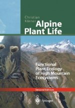 Alpine Plant Life