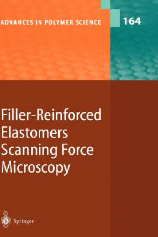 Filler-Reinforced Elastomers Scanning Force Microscopy