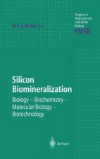Silicon Biomineralization