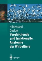 Vergleichende Und Funktionelle Anatomie Der Wirbeltiere