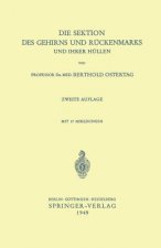 Die Sektion des Gehirns und Rückenmarks und ihrer Hüllen