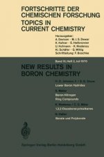 New Results in Boron Chemistry