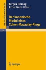 Der kanonische Modul eines Cohen-Macaulay-Rings