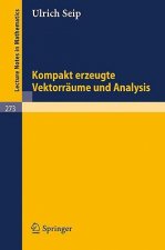 Kompakt erzeugte Vektorräume und Analysis