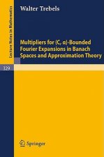 Multipliers for (C,alpha)-Bounded Fourier Expansions in Banach Spaces and Approximation Theory