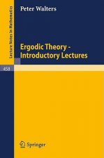 Ergodic Theory - Introductory Lectures