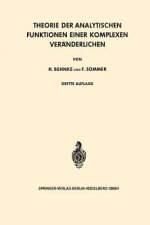 Theorie Der Analytischen Funktionen Einer Komplexen Veranderlichen