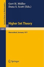 Higher Set Theory