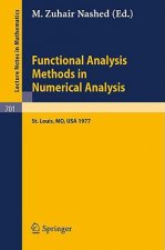 Functional Analysis Methods in Numerical Analysis