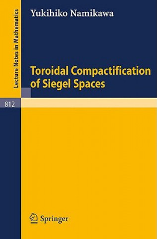 Toroidal Compactification of Siegel Spaces