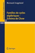 Familles de Cycles Algebriques - Schema de Chow