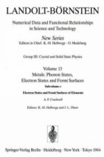 Electron States and Fermi Surfaces of Elements / Elektronenzustande Und Fermiflachen Von Elementen