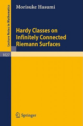 Hardy Classes on Infinitely Connected Riemann Surfaces