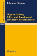Singular Ordinary Differential Operators and Pseudodifferential Equations