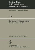 Dynamics of Macrosystems